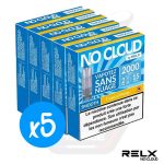 Lot de 5 boîtes RELX No Cloud Smooth Tropical Mango